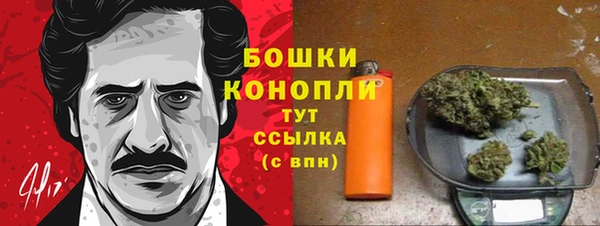 стафф Бердск